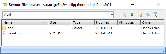 remotefilebrowser-file