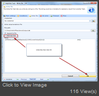 20130910 Write File Task - 02 - Untick and OK.png