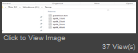 Capture.PNG